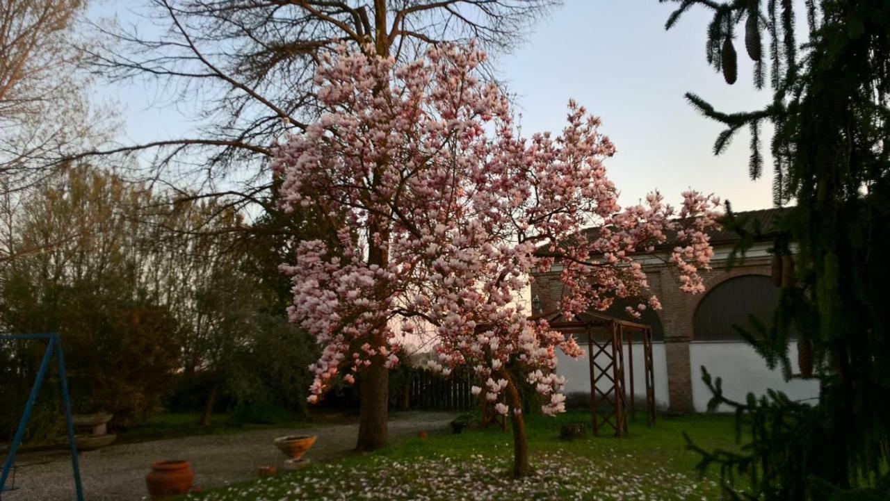 Agriturismo Cipolli E Podo Corte Carlini Mantova Ngoại thất bức ảnh