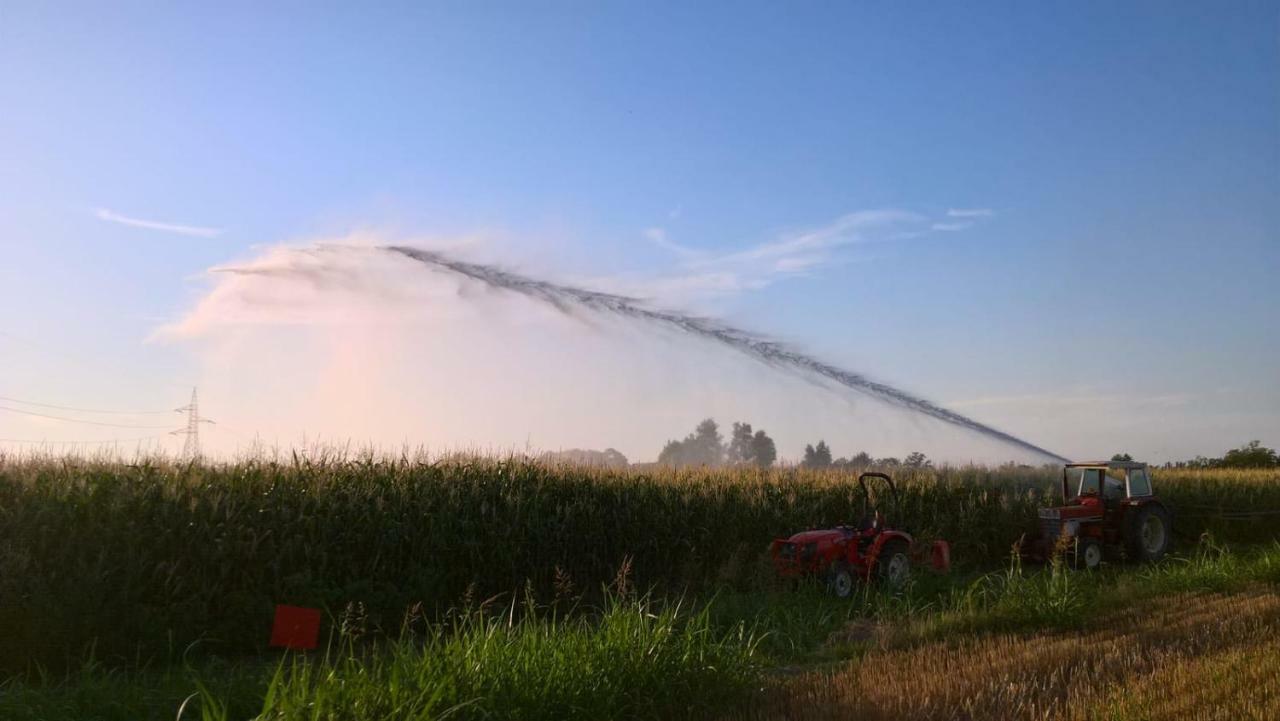 Agriturismo Cipolli E Podo Corte Carlini Mantova Ngoại thất bức ảnh