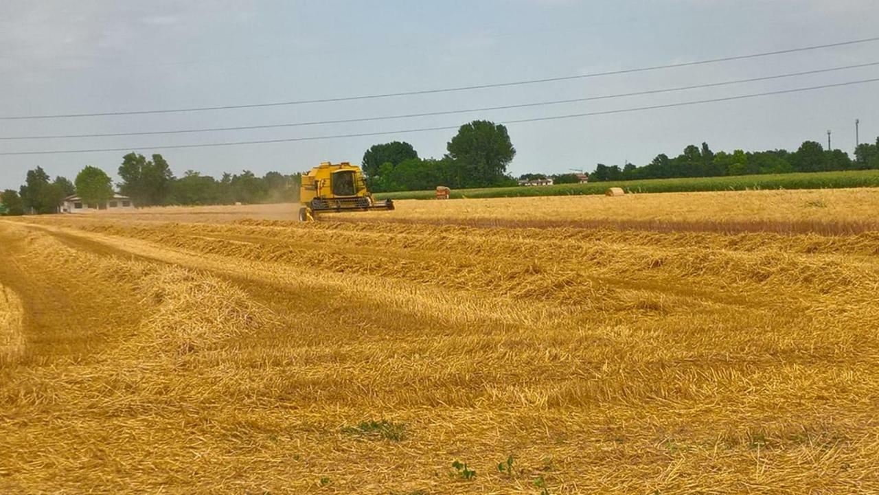Agriturismo Cipolli E Podo Corte Carlini Mantova Ngoại thất bức ảnh